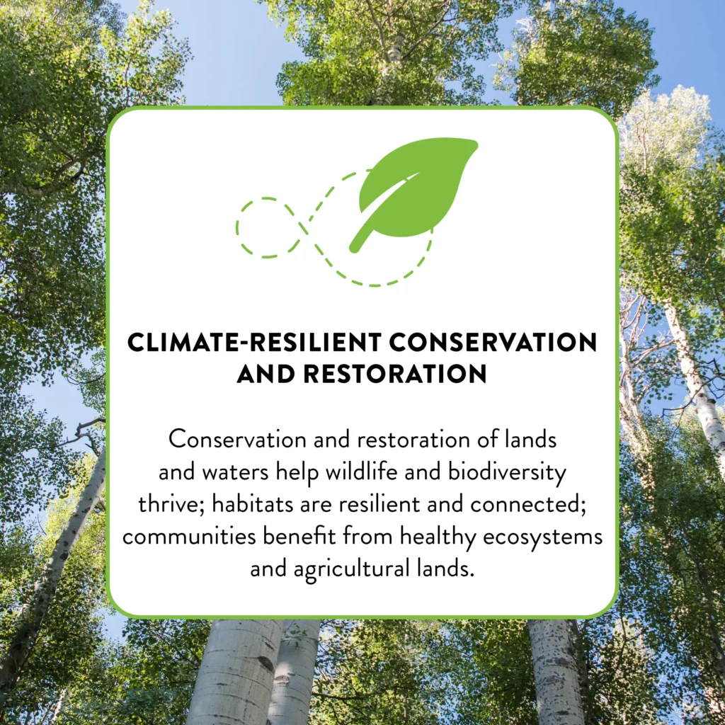 A goals graphic from the social media toolkit for Colorado's Outdoors Strategy