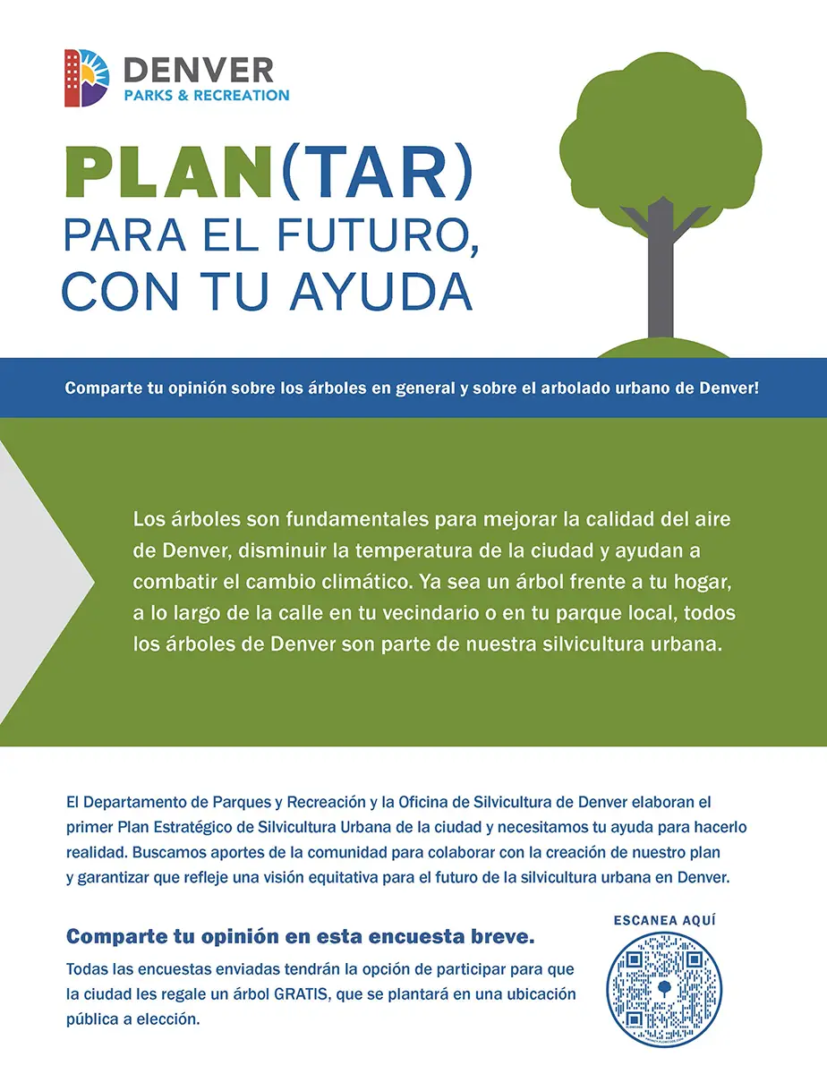 A Spanish flyer for the Urban Forest Strategic Plan