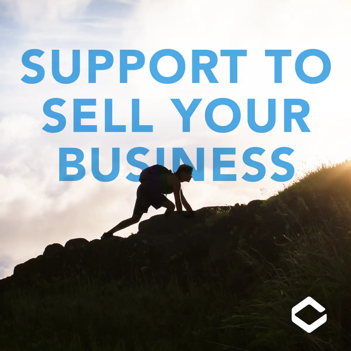A sample ad for Crestone Capital that reads: Support to sell your business