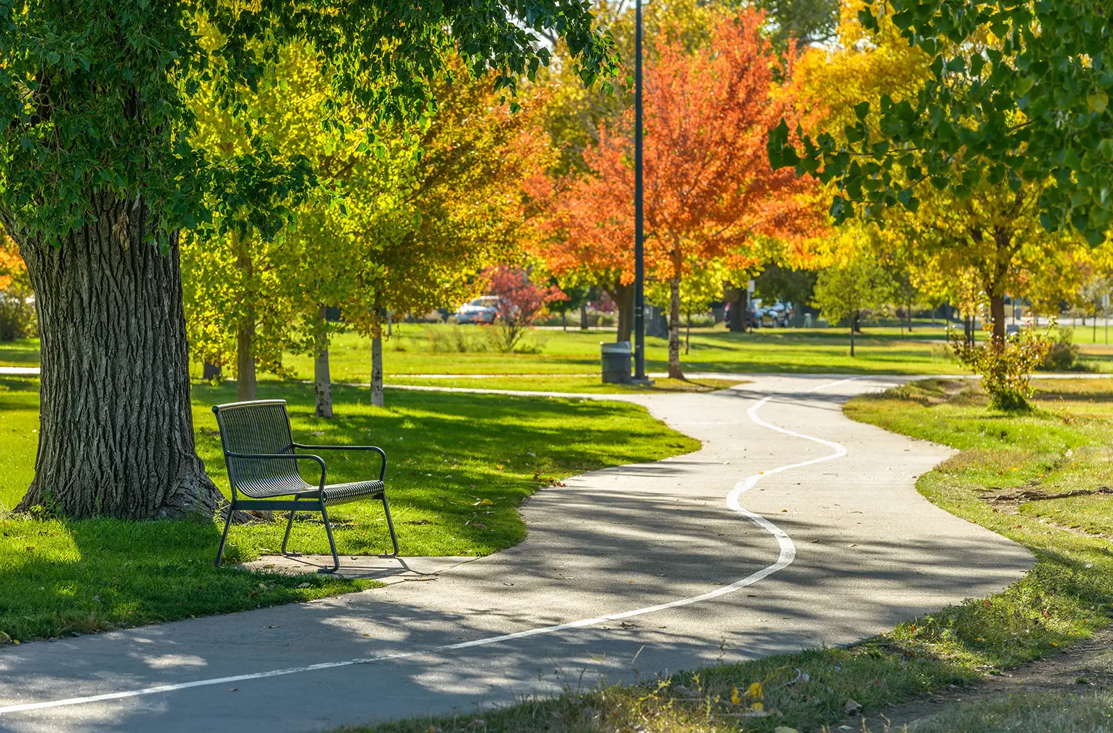 A path and bench at a park in Denver, CO, surrounded by trees