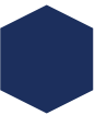 blue hexagon that signifies a PROI partner on our agency map of the US