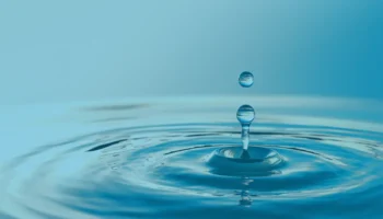 How to Get More Value From Earned Media