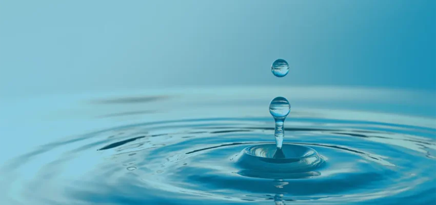 How to Get More Value From Earned Media